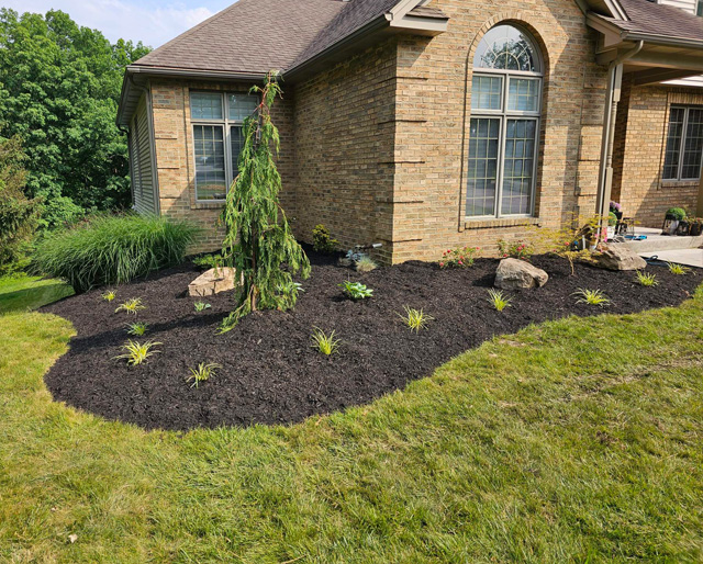Landscape Division